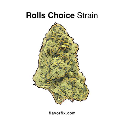 rolls choice|Rolls Choice Weed Strain Information